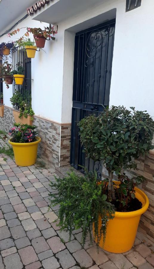 Apartamento En Casco Historico Leilighet Estepona Eksteriør bilde